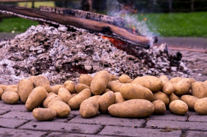 potato fire, roast potatoes, embers